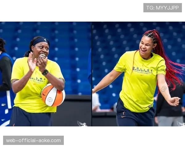 明尼苏达山猫队聘请前WNBA球星林赛·惠伦担任助理教练